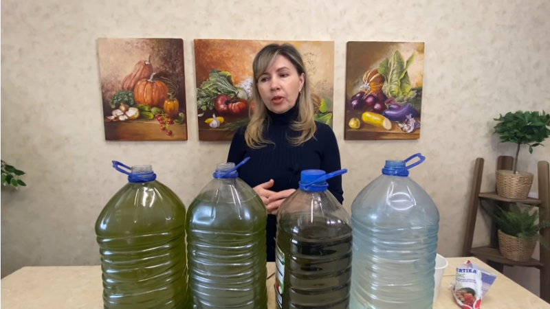 Удобрение для всех растений практически даром. Рецепт опытного садовода