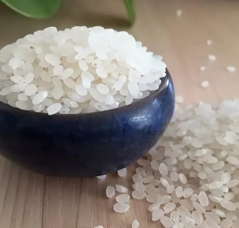 Какой рис для голубцов лучше: как приготовить вкусно. Подсказки опытного повара