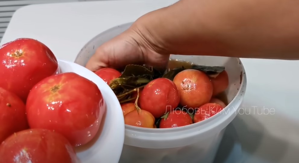 Бочковые помидоры на зиму. Самые вкусные помидоры: легкий рецепт!